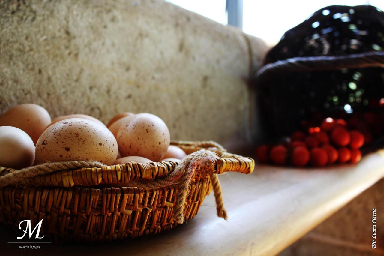 Masseria La Foggia Fasano Dış mekan fotoğraf